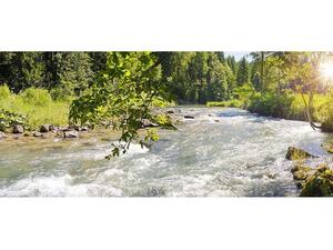 Nestlé Waters Targets Positive Water Impact By Regenerating Local Water Cycles