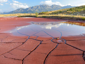 reduction of water in the soil and desertification