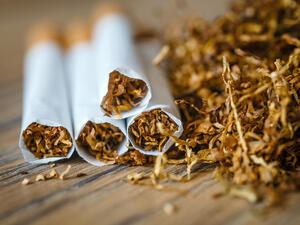 cut tobacco leaves and handmade cigarettes