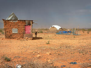  A very hot day, donkey is hiding in shadow of mud hut shelter during sandstorm disrupting life in refugee camp, blowing dust.