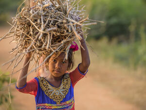 Indian girl carrying wood on head at the road