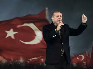  "حل الدولتين".. من قبرص إلى فلسطين 