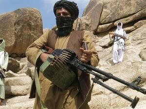 كم يبلغ عدد عناصر طالبان؟