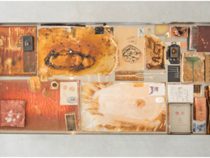 Roster Includes Major Presentations of Hrair Sarkissian and The Otolith Group, SAF Collection Exhibitions and Collaborations with Artists, Curators and Institutions Around the World