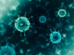 organism illustration, virus seen micro