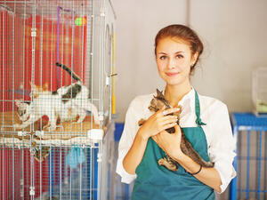 animal rights bill approved