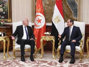 دفاعاً عن مصر وتونس