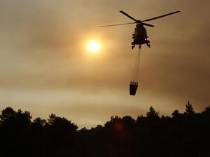  استجابة السلطات الرسمية لمسألة الحرائق ضعيفة