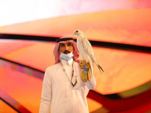 الصقر الكندي 