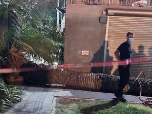 شجرة نخيل تسحق رأس ستينية في طبريا