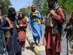 "الإسلام السياسي والمسلح": من الشماتة بـ "نهضة تونس" إلى الانتشاء بـ "فتح كابل"