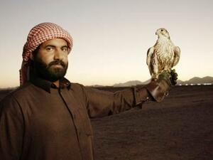 "حلفاء الطبيعة".. وثائقي عن الصقارين بالمملكة العربية السعودية