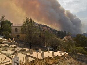Algeria's forest fires kills dozens