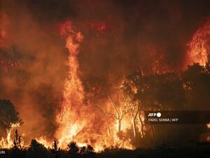 Fires rage in northern Morocco 