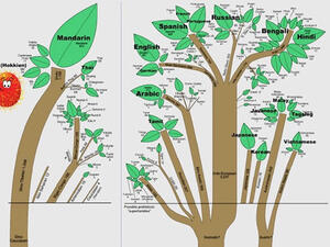 Participatory community planning is a hallmark of civil society organizations dedicated to sustainable development, but it can be challenging when there is the presence of multiple languages of expression.