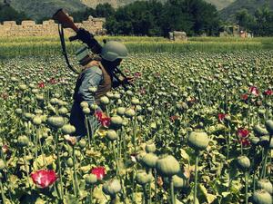 أفيون أفغانستان