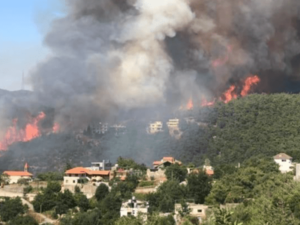 حرائق في لبنان
