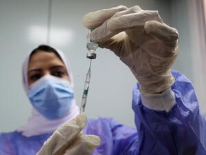 اللقاحات في مصر