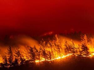 الحرائق في جزيرة صقلية