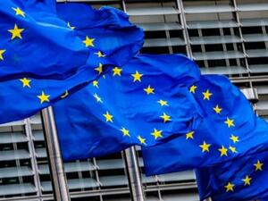 الاتحاد الأوروبي.. اقتراح بتعيين مقرر خاص معني بأفغانستان