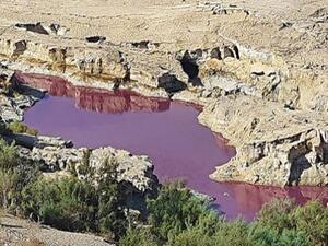 البحر الميت يتحول الى اللون الأحمر