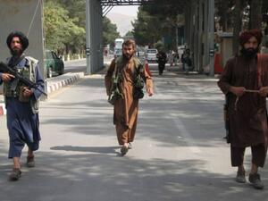 تنسيق اميركي مع طالبان