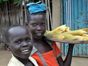 UN suspends food aid to South Sudan