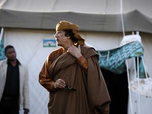 أنصار القذافي تعبير يضر بمستقبل ليبيا