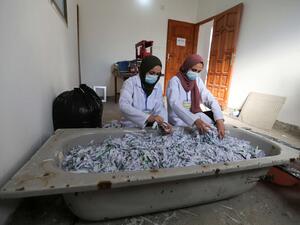 فلسطينيات يعدن تصنيع الورق