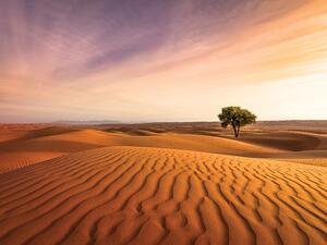 GE White Paper Highlights Pathways To Faster Decarbonization In The GCC’s Power Sector 