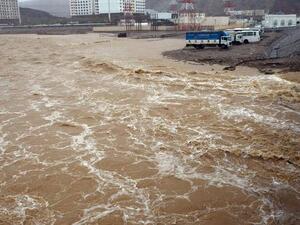 الإعصار شاهين