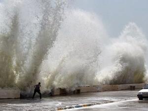 الإعصار شاهين