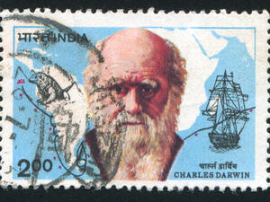 “It is just incredibly spine tingling to look through this and see the microscopic world that Darwin would have seen in the 1820s and 30s,”