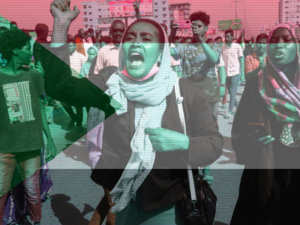 Sudanese protestor after the coup