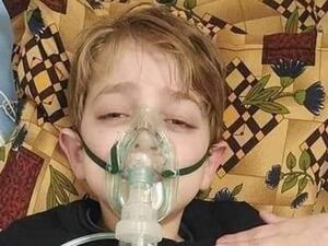 أمير الرفاعي 