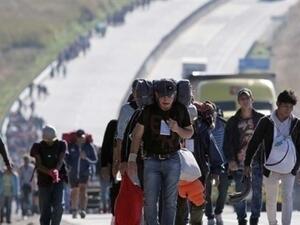 ضبط 600 مهاجر في شاحنتين بالمكسيك