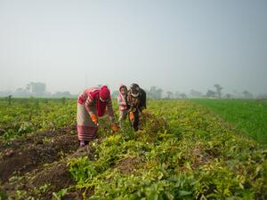 يوجين ويليمسن الرئيس التنفيذي لشركة بيبسيكو بأفريقيا والشرق الأوسط وجنوب آسيا يتسلم جائزة CARE Impact لجهود الشركه في تحقيق المساواة بين الجنسين وتمكين المرأة في  القطاع الزراعى على مستوى العالم