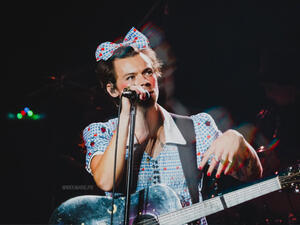 Harry Styles helped a nervous fan come out