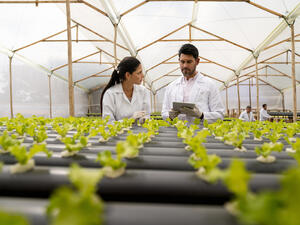 بنك ستاندرد تشارترد يطلق أول حساب مستدام في دولة الإمارات العربية المتحدة