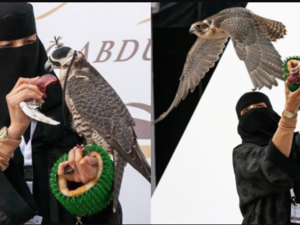 Saudi falconry festival starts in Riyadh