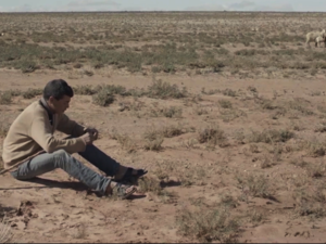 •    النحلة مايا 3: البذرة الذهبية أول عروض سينما السيارات في لوسيل هذا العام