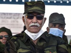 إبراهيم غالي