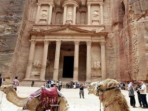 Rose Red Petra 