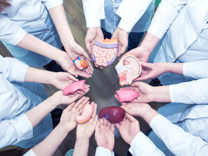 Will Muslims Agree to Undergo Pig Organ Transplants?