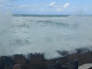 تسونامي مصري 