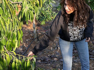 Many Lebanese are flocking to the countryside 