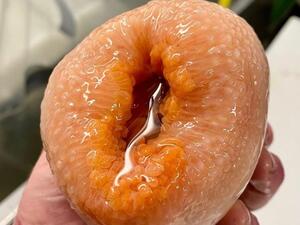 The cheeseburger fish