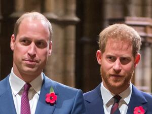 الامير ويليام والامير هاري