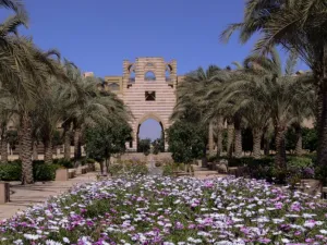 الجامعة الأمريكية بالقاهرة الجامعة تتصدر مصر وإفريقيا في تصنيف الجامعات المحافظة على اللون الأخضر والمعايير البيئية 