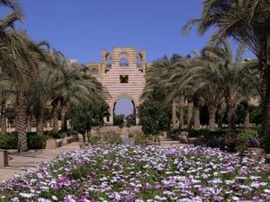 الجامعة الأمريكية بالقاهرة الجامعة تتصدر مصر وإفريقيا في تصنيف الجامعات المحافظة على اللون الأخضر والمعايير البيئية 